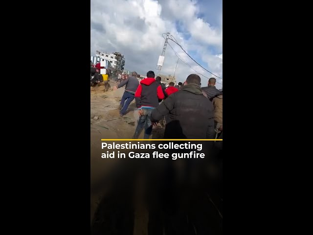 Palestinians collecting aid in Gaza flee gunfire