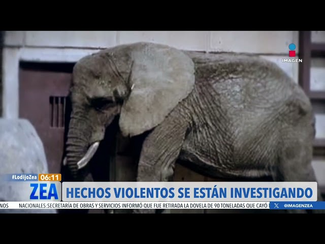 Incautan rancho y hallan animales en Tabasco