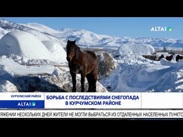 БОРЬБА С ПОСЛЕДСТВИЯМИ СНЕГОПАДА В КУРЧУМСКОМ РАЙОНЕ