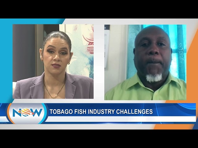 Tobago Fish Industry Challenges