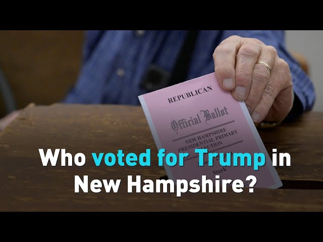 Who voted for Trump in New Hampshire?