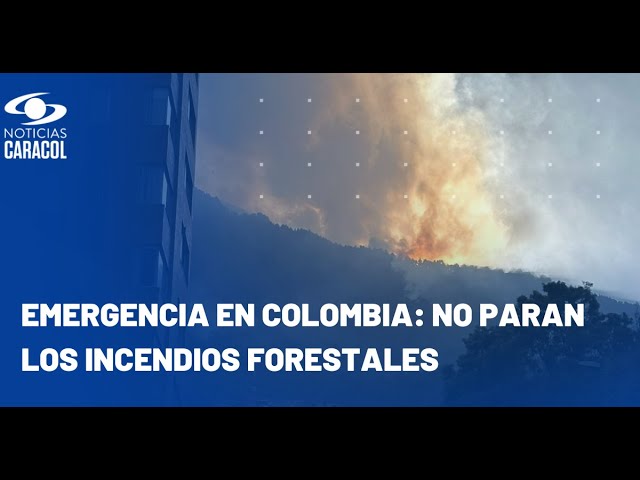 Incendios forestales en Colombia: cubrimiento especial