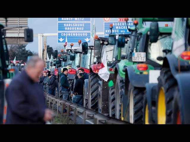 Nach Bauern-Demos: EU berät über Zukunft der Landwirtschaft