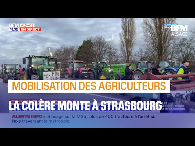 Strasbourg: les agriculteurs bloquent la M35