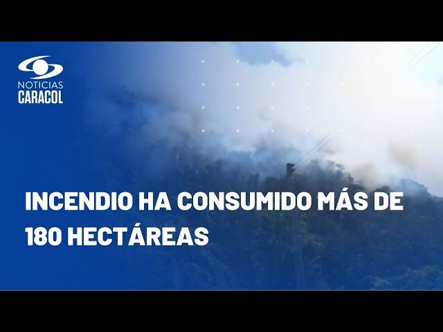 Más de 40 animales han sido evacuados por incendio en Nemocón: un toro habría muerto calcinado