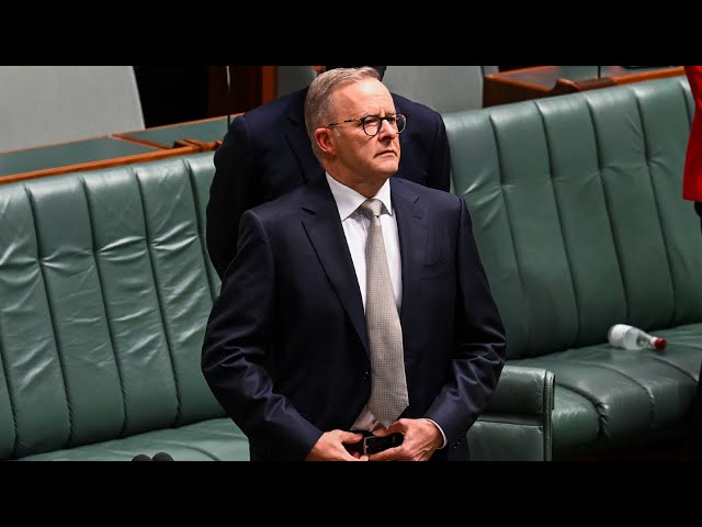 Albanese denies stage three amendments come at the cost of his personal integrity