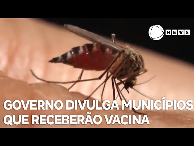 Governo divulga lista de municípios que receberão doses da vacina da dengue