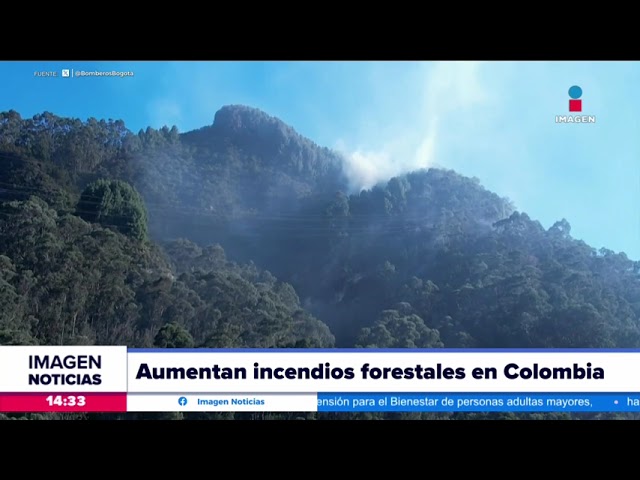 Incendios forestales aumentan en Colombia