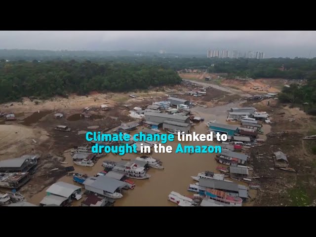 Climate change linked to drought in the Amazon, study finds