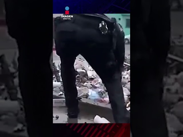 "El héroe de Tijuana", policía salva a perrito