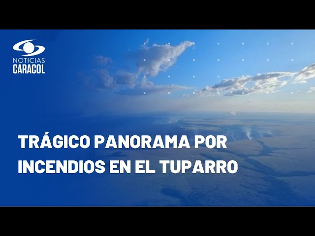 En Parque Nacional Natural El Tuparro, 8.000 hectáreas han sido consumidas por las llamas