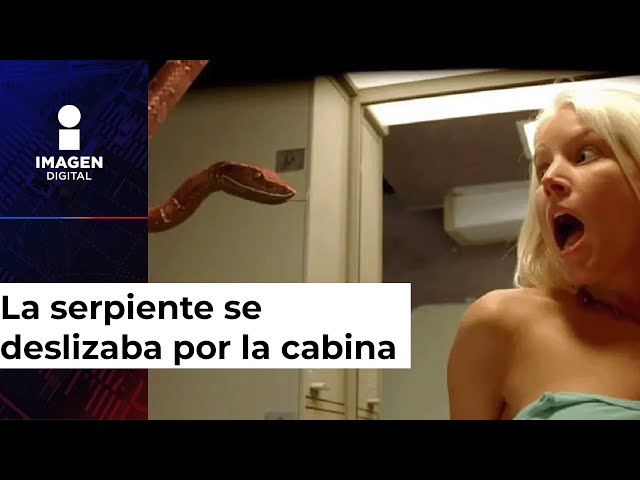 ¡Cómo en la película! Pasajeros hallan serpiente dentro de un avión