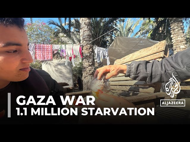 Attacks on people getting aid: 1.1 million facing starvation in Gaza