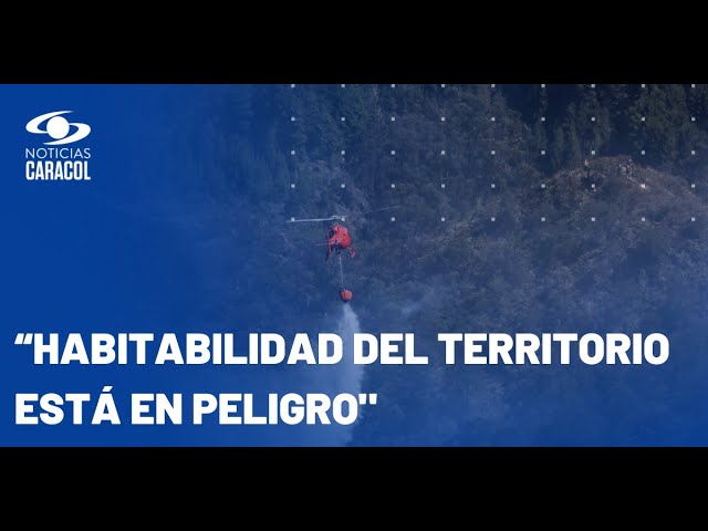 “Estamos en la mitad de un desastre”: Gustavo Wilches analizó la ola de incendios en Colombia