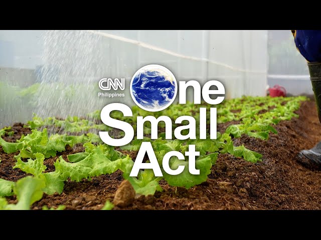 Green Eating | One Small Act