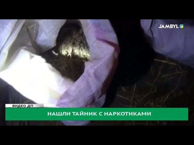 Нашли тайник с наркотиками