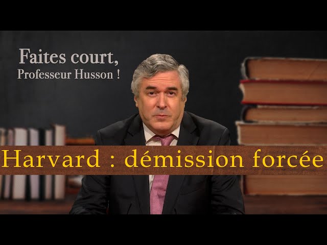 [Format court] La démission forcée  de la présidente de Harvard - Faites court, professeur Husson