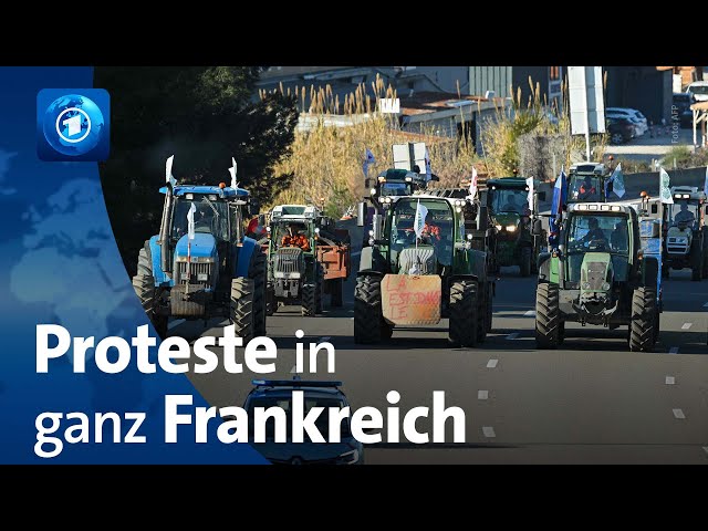 Landwirt:innen protestieren in Frankreich