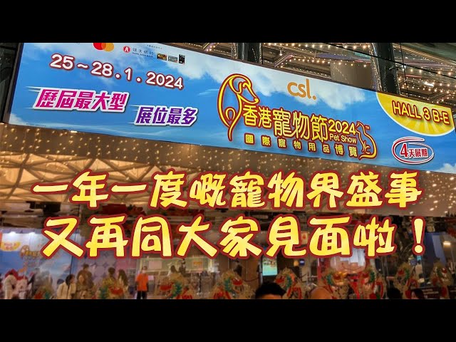 東張西望｜一年一度嘅寵物界盛事【香港寵物節2024】又再同大家見面啦！