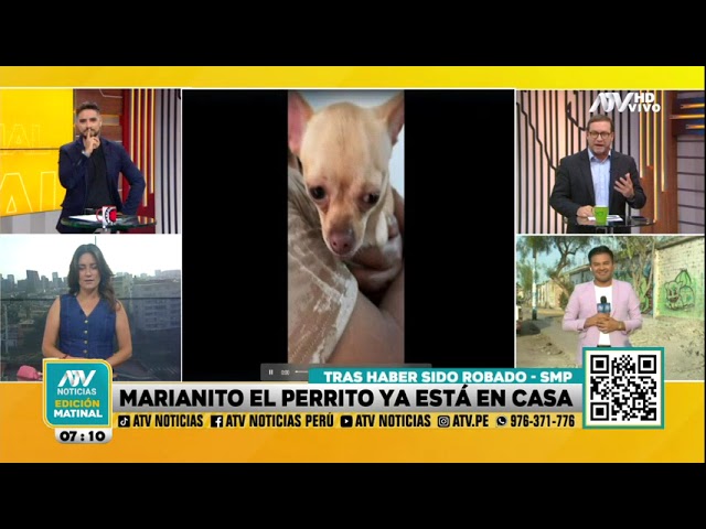 'Marianito': Perrito que fue robado en SMP es devuelto tras denuncia de ATV Noticias Matin