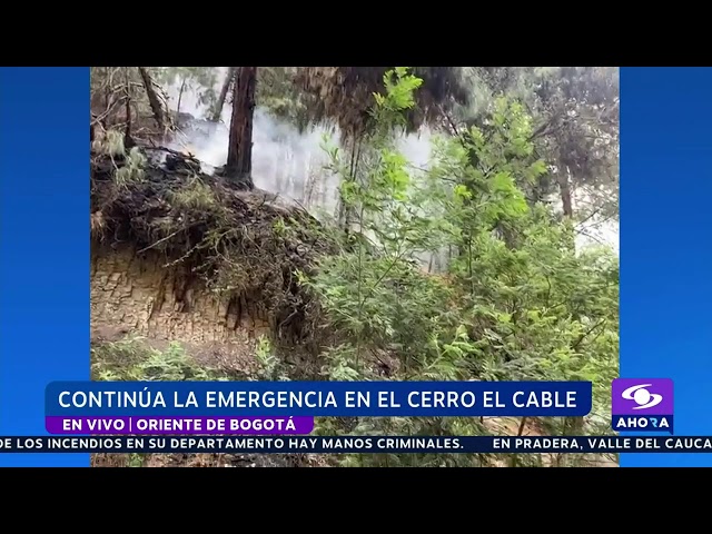 Se agrava emergencia por incendios forestales en Colombia