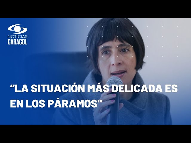 Ministra de Ambiente: “El 95% de incendios forestales en Colombia son provocados”