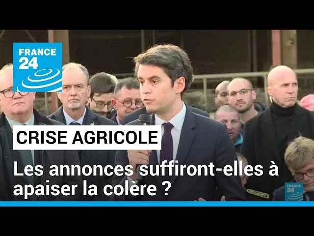 Crise agricole : les premières mesures suffiront-elles à apaiser la colère ? • FRANCE 24