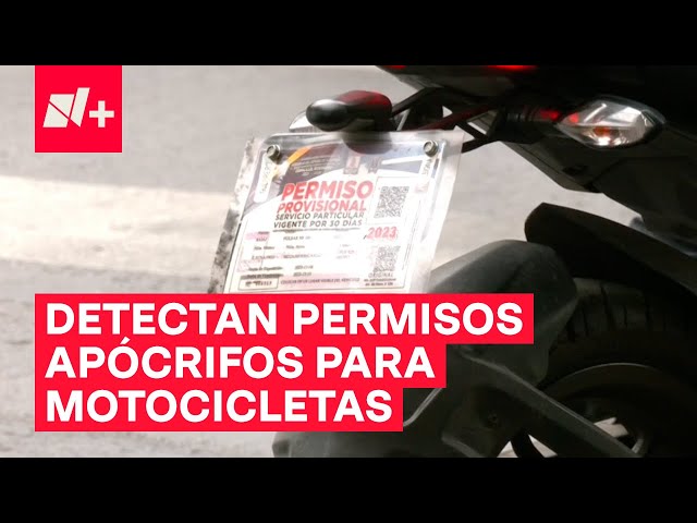 Venta de permisos falsos para motocicletas - N+