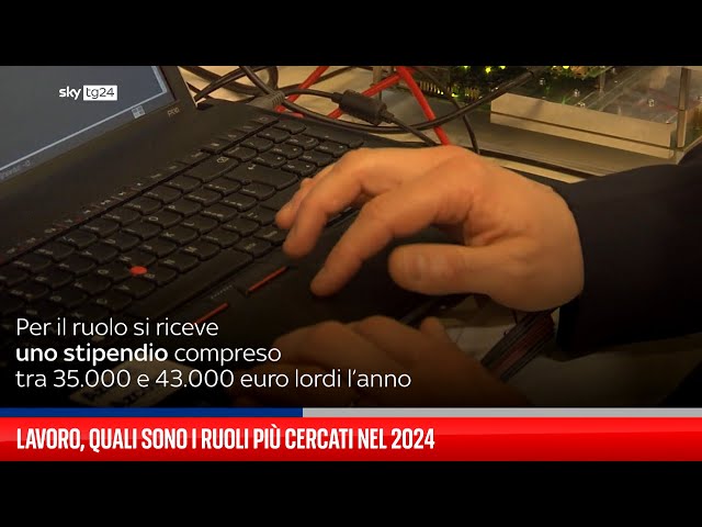 Lavoro, quali sono i ruoli più cercati nel 2024