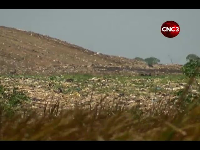 Composting could help save the environment—agronomist