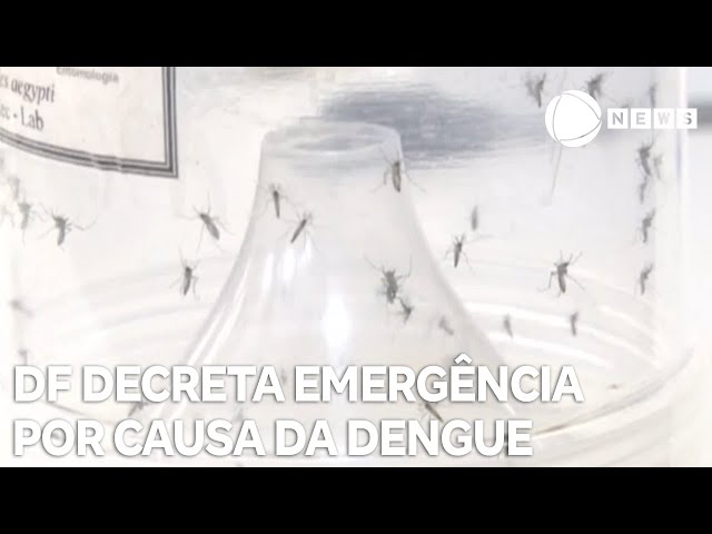 Distrito Federal decreta estado de emergência por causa da dengue