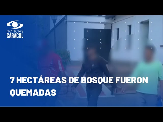 En Putumayo se logró la captura de hombres señalados de quemar más de 3 mil árboles