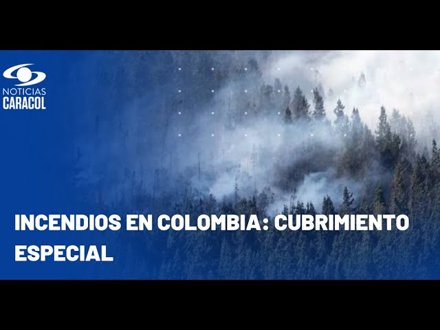 Continúa la lucha para controlar los incendios en Colombia: este es el panorama nacional