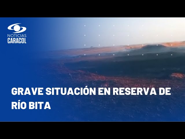 Desgarradoras imágenes de incendio en cuenca de río Bita: llamas han consumido casi 10 mil hectáreas