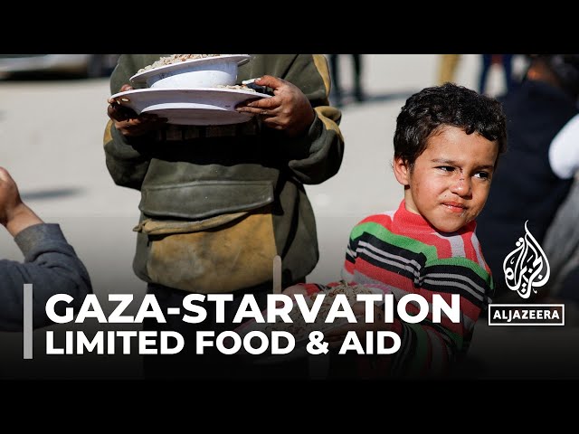 Risk of starvation: Limited food & aid is fueling crisis in Gaza