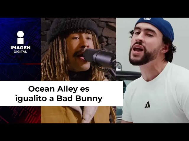 ¿Bad Bunny y cantante de Ocean Alley se parecen? Video se viraliza