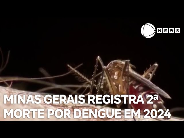 Minas Gerais registra segunda morte por dengue em 2024