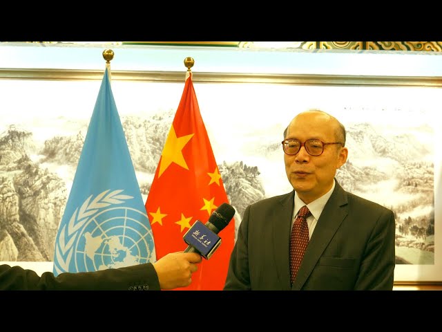 China delivers good performance in UN periodic review of human rights: ambassador