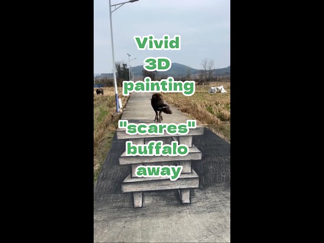 Vivid 3D painting "scares" buffalo away