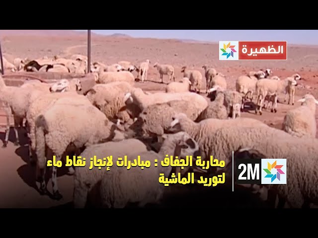 محاربة الجفاف : مبادرات لإنجاز نقاط ماء لتوريد الماشية