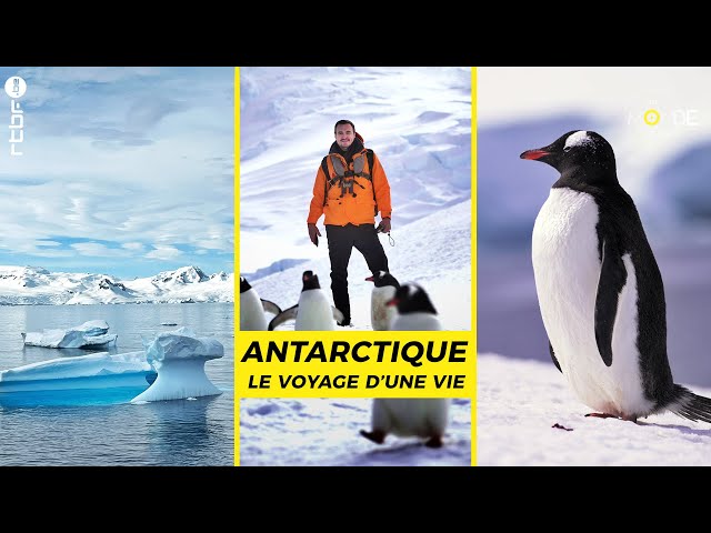 Antarctique : le voyage d'une vie - Un Monde à part