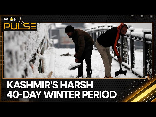 ⁣India: Kashmir receives its first batch of snowfall after a long dry spell | World News | WION Pulse