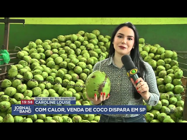 Venda de coco dispara em São Paulo I Jornal da Band