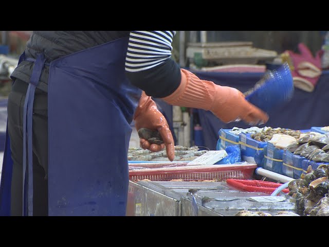 지난해 일본 어패류 수입, 11년 만에 최대폭 감소 / 연합뉴스TV (YonhapnewsTV)