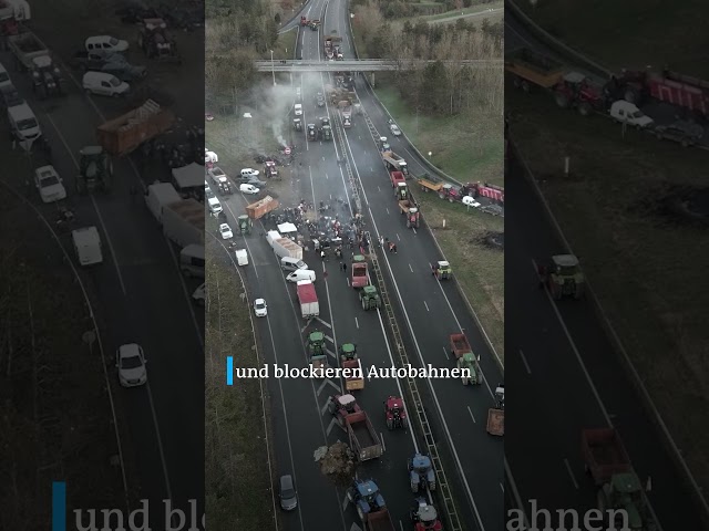 Landwirte in Frankreich protestieren | DW Shorts