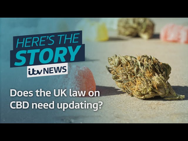 Does the UK's law on CBD need updating? | ITV News