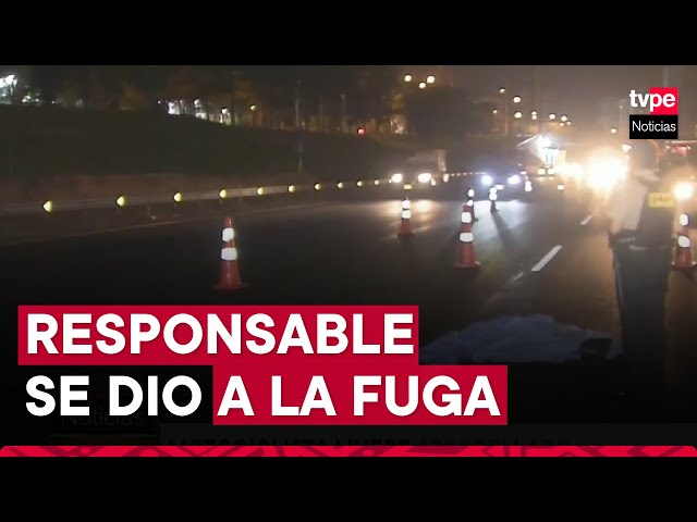 Surco: motociclista muere atropellado en Panamericana Sur