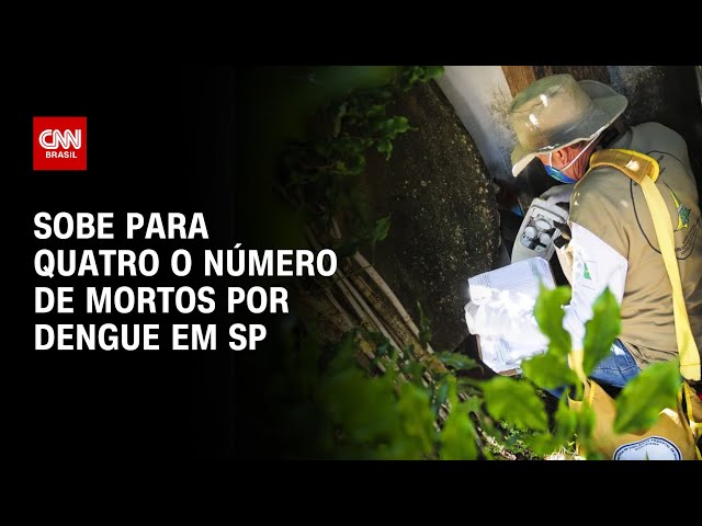 Sobe para quatro o número de mortos por dengue em SP | AGORA CNN