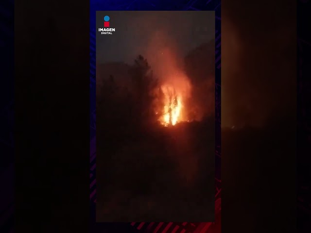 Fuego arrasa el suelo colombiano