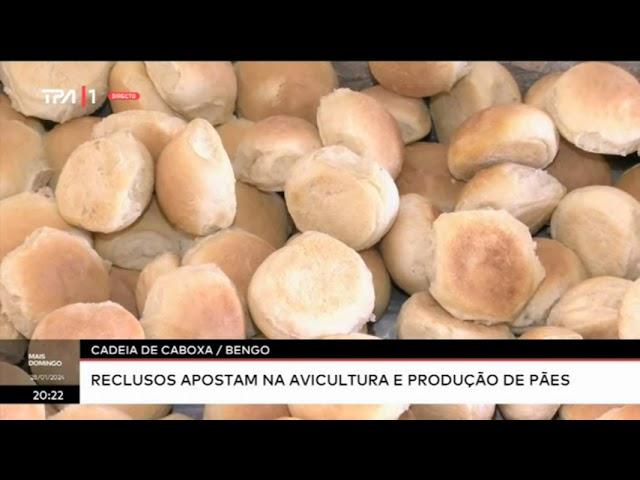 Cadeia de Caboxa/ Bengo - Reclusos apostam na agricultura e produção de pães